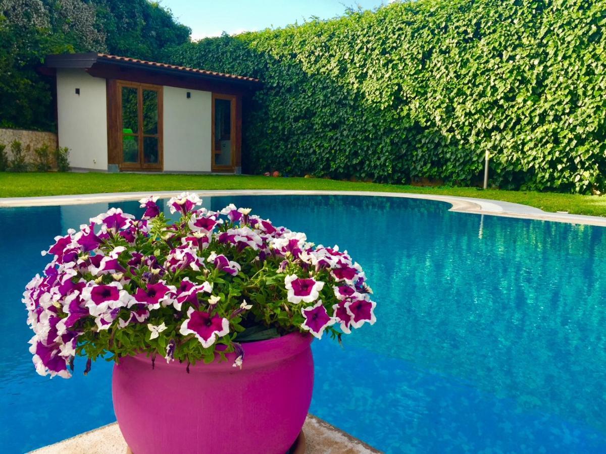 Holiday home Ara Town House *