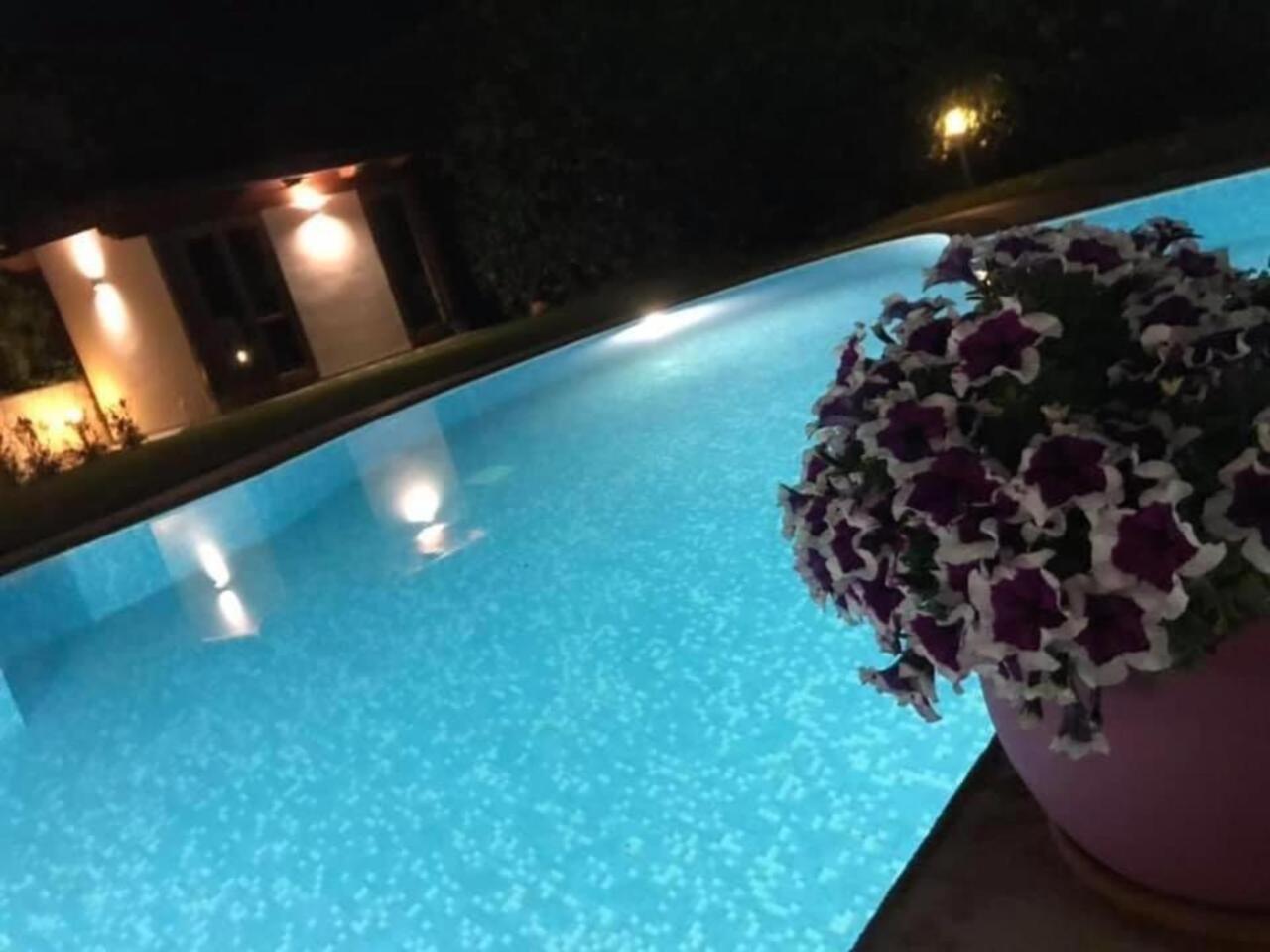 Ara Town House Holiday home *
